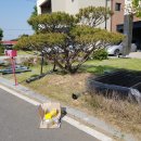 송화2길 이미지