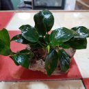 유목농장 이미지