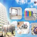 한미원룸 이미지