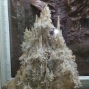 중원대학교박물관 이미지