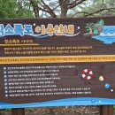 [열목어 서식지, 내린천 발원지, 칡소폭포] 홍천여행, 홍천 가볼만한 곳 / 밤을 잊은 그대에게 / 물소리...
