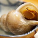 동어동락 삼성2호점 이미지