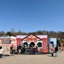 T-4 | 에버랜드 평일 오픈런 후기 ㅣ 3월 할인, 워킹사파리, 매운맛스쿨, 대기시간, T익스프레스 4번 탄 후기