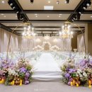 스테이그라피 이미지