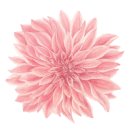 다요메디칼 이미지