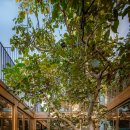 나무아래집 이미지