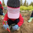 별하농장 이미지