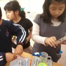 시흥매화초등학교 이미지