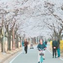 동락공원 자전거대여소(평일_동절기) 이미지