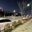 이카타코야끼 이미지