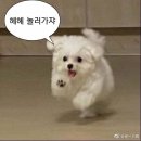 오께야 네이버블로그
