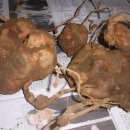 이삭농장 이미지