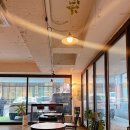 용인중앙공원 이미지