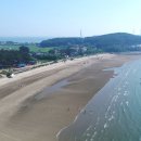 서천 마량리 동백나무 숲 이미지