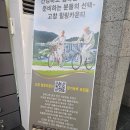 홀론 | 고창 당일치기(고창 청보리밭 축제, 홀론 온천)