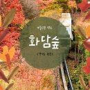 화담숲해물파전 번지없는주막 곤지암 가을단풍명소 비오는날 단풍후기
