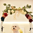 잇츠그루밍타임 이미지