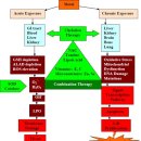 Re: 파킨슨 환자.. 녹차 마시면 호전된다 .. Mendelian Randomization Study .. 이미지