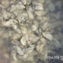 남포수산