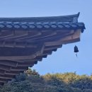 승덕인테리어 | 대구철학관추천 결혼궁합 잘 보는 철학관 승덕사주