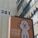 딩동댕 펫살롱 이미지