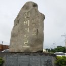 아름다운 제주도와 한라산의 유월 이미지