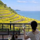 라비스타펜션민박 | 남해 다랭이마을 민박 다랭이마을 유채꽃 숙소 추천 주차 팁