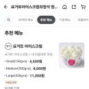 요거트아이스크림의정석원신흥