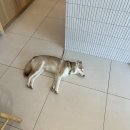광안리 브런치로 프렌치 토스트랑 베이컨 비프라쟈나 먹어본 후기