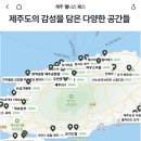로투스요가 | 오붓 웰니스 패스로 요가여행 후기+할인 코드
