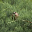 한국폴리텍 I 대학 서울강서캠퍼스 이미지