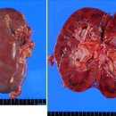 장기시장 이미지