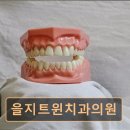 을지트윈치과의원 이미지