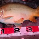 이정골낚시터 이미지