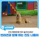 진도개테마파크 ( Dog스포츠(평일)어울마당) | [여름 나들이 스팟 추천]반려견과 함께 추억을 만들 수 있는 진도개테마파크로 놀러오세요~!
