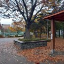 해바라기어린이공원 이미지