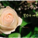 행복한마음