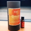 닥터스미스(Dr. Smith) 이미지