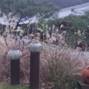 부강펜션 이미지