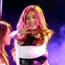 레인보우독