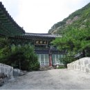 천태산죽염 이미지