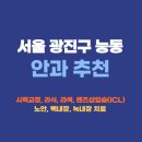 늘푸른약국 | 서울 광진구 능동 안과 잘하는곳 추천 후기 가격비교 | 라식 라섹 렌즈삽입술 드림렌즈 노안 백내장