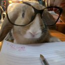 레또르떼 | 나를 살게하는 네가 가족이 아니면 뭐니