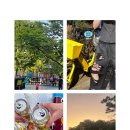 감미옥 | 고속터미널 고기집 추천, 야장 분위기 좋은 감미옥 내돈내산 후기