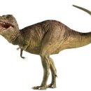 풍기중학교 이미지