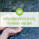 지리산 북방산개구리 첫 산란, 지난해보다 10일 빨라 이미지