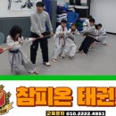 올바른태권도 네이버블로그