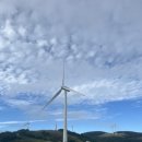 강릉목장 이미지