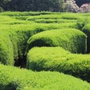 김녕관광지 이미지