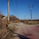 반구정습지 이미지